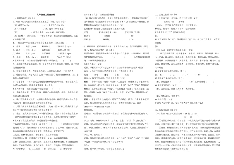 九年级语文综合演练.doc_第1页