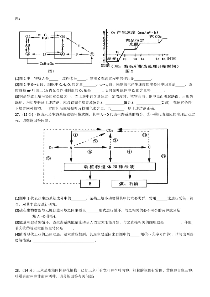 高三理综生物冲刺.doc_第3页