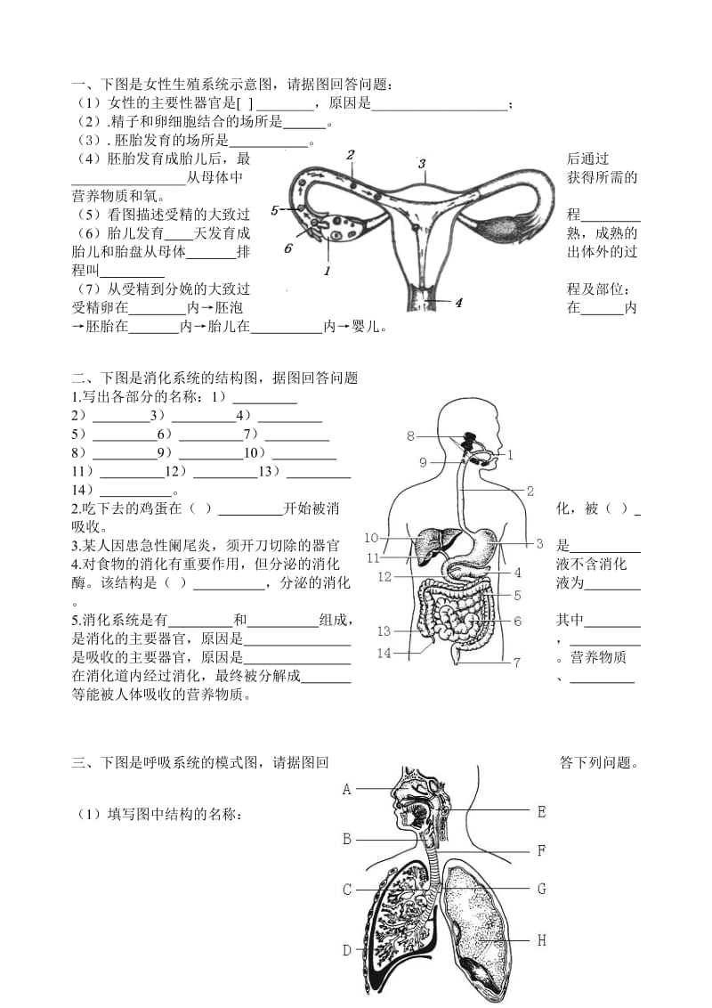 初中生物七年级下册复习资料-填图.doc_第1页