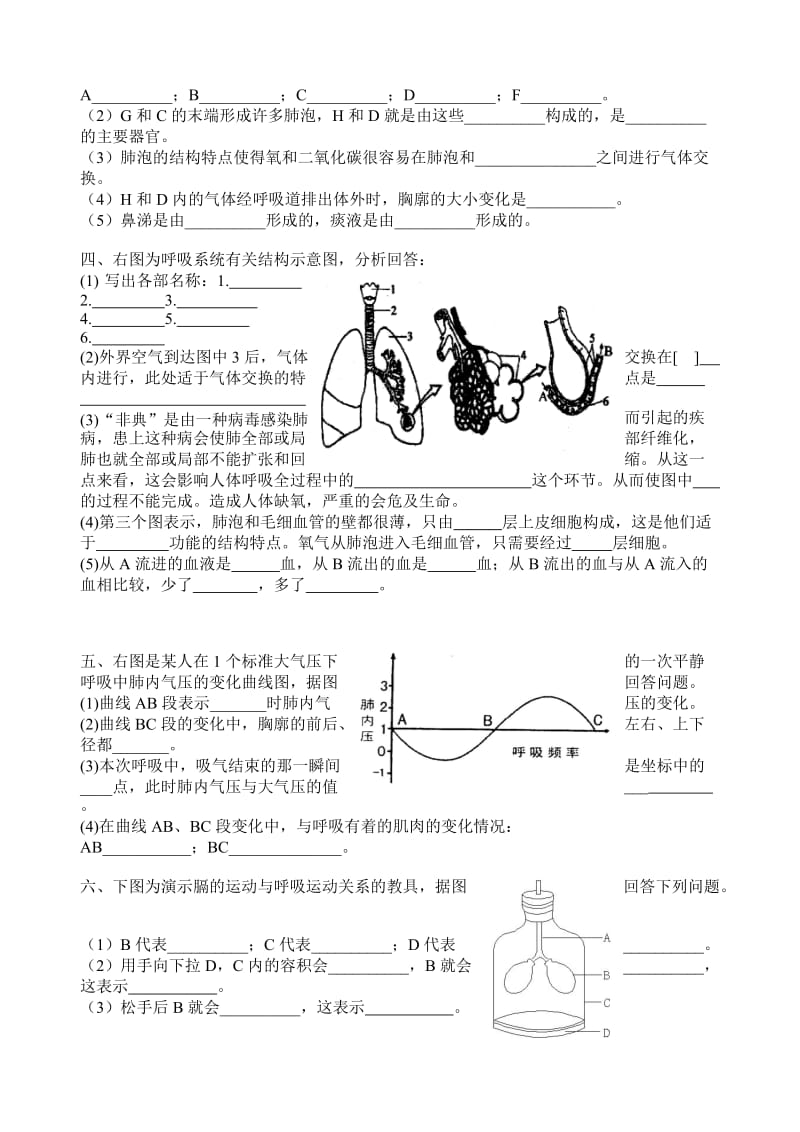 初中生物七年级下册复习资料-填图.doc_第2页