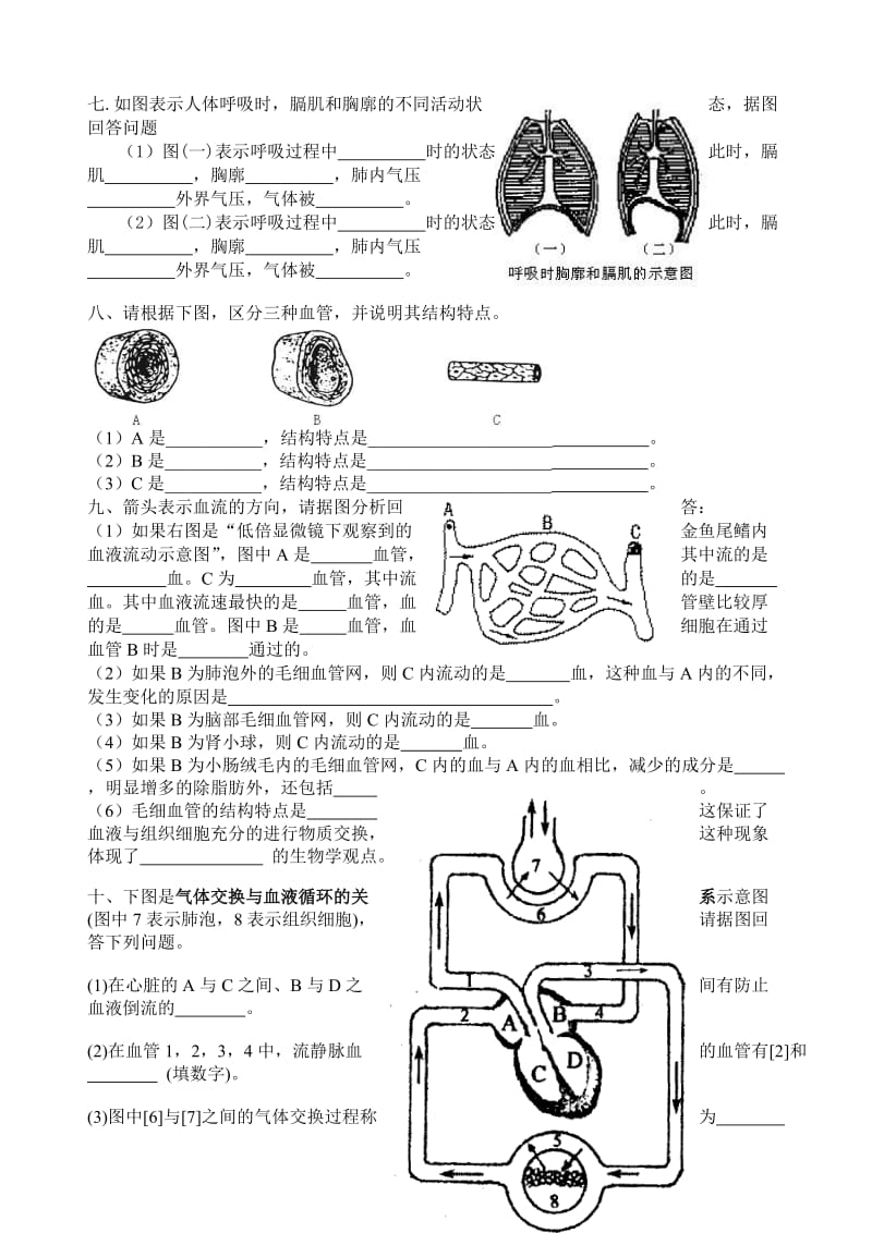 初中生物七年级下册复习资料-填图.doc_第3页