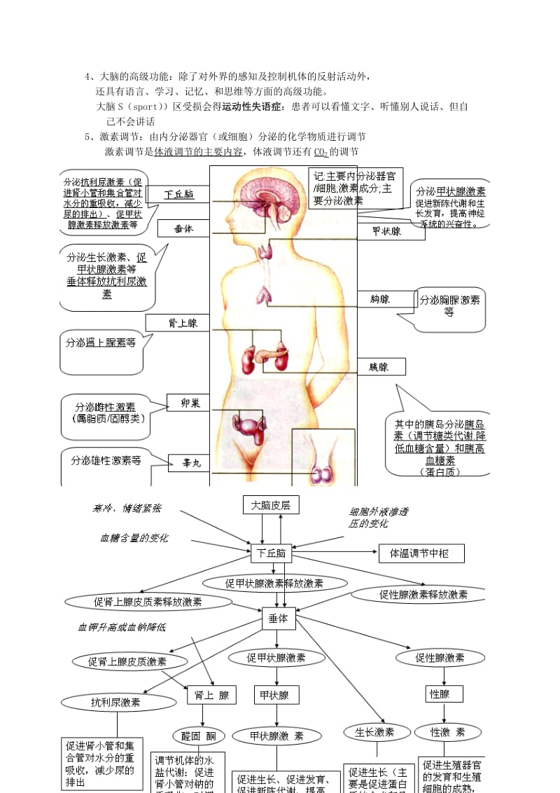 高考生物必背必修三.doc_第3页