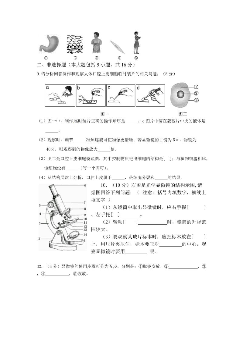 生物七年级上册复习质检.doc_第2页