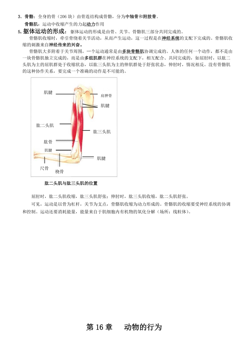 北师大八年级生物上册复习重难点.doc_第3页