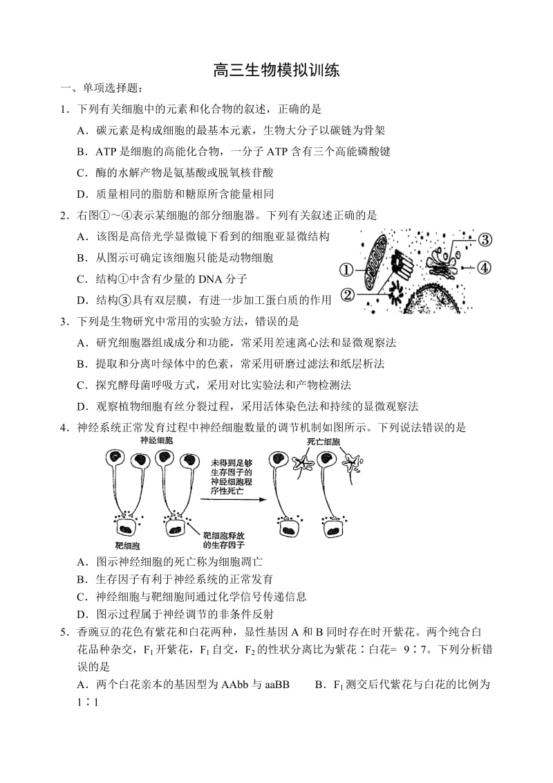 高三生物模拟训练.doc_第1页