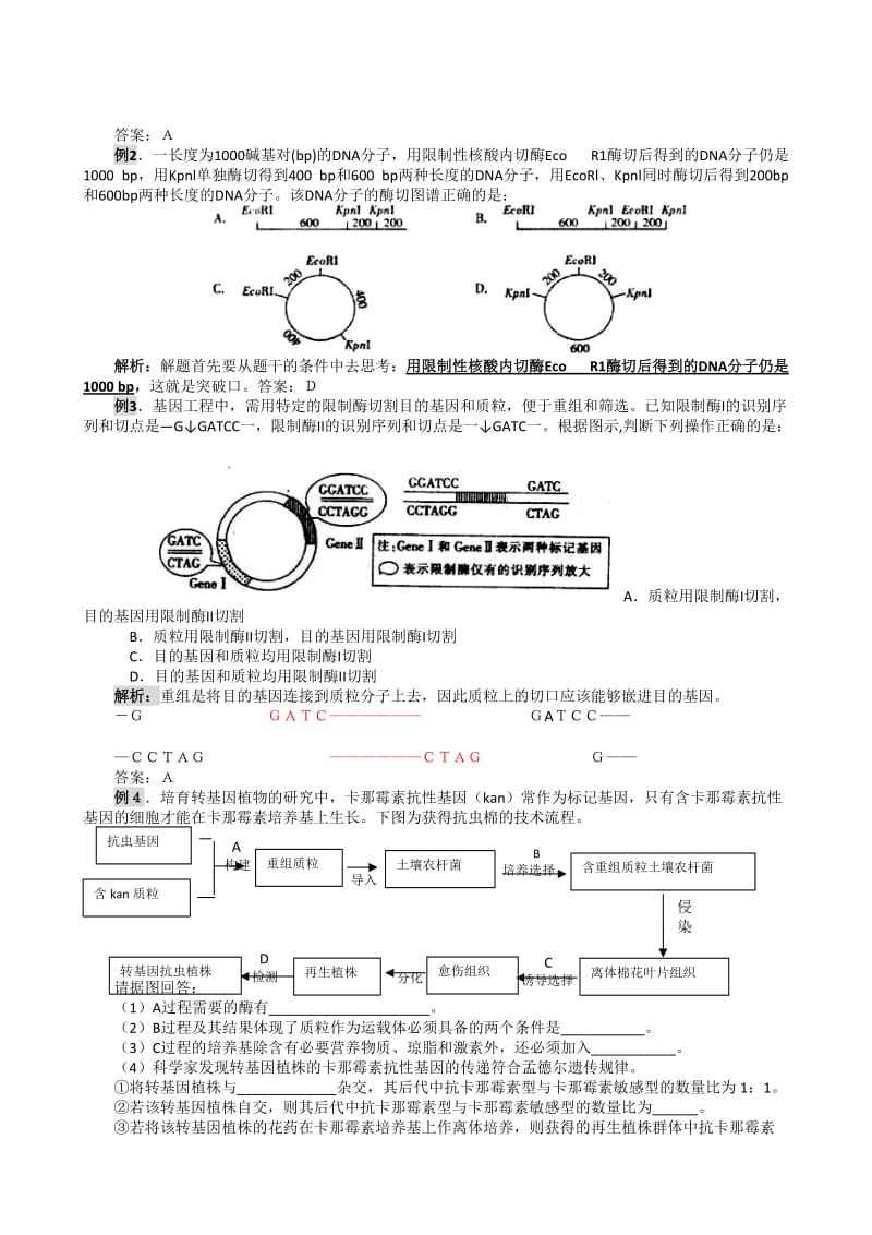 高三一轮复习 基因工程及其应用.doc_第2页