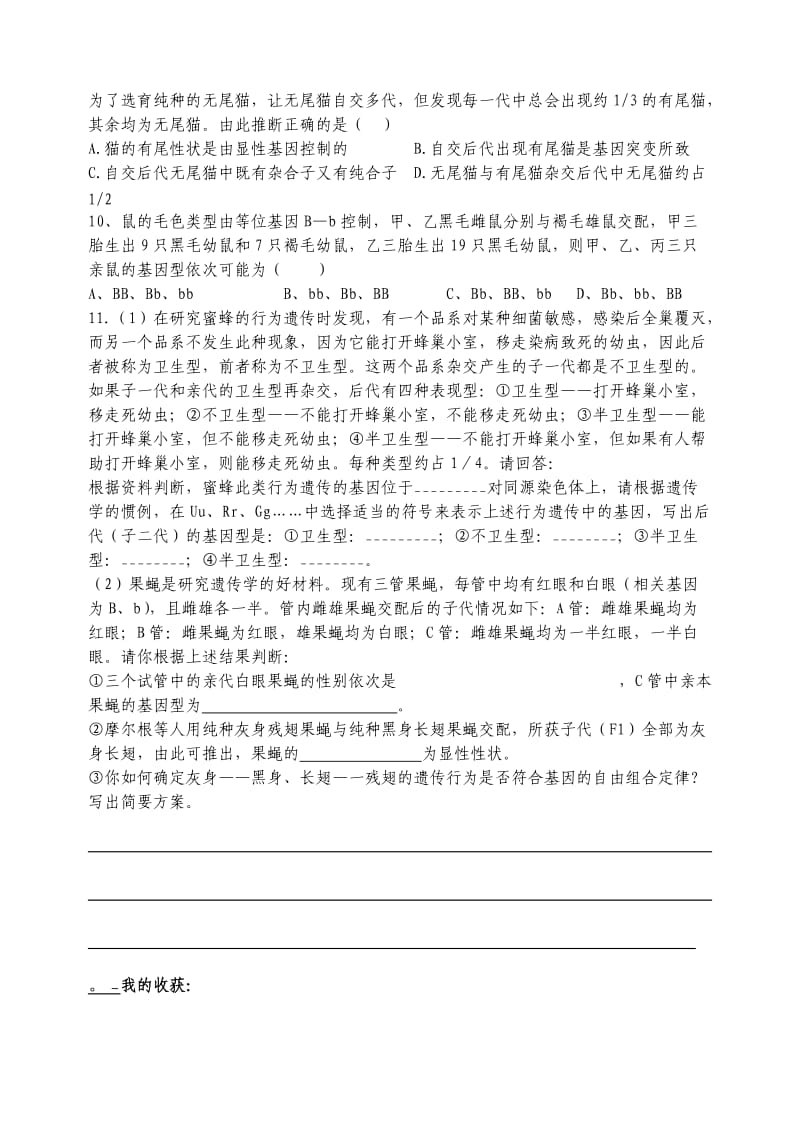 高二寒假快乐生活.doc_第2页