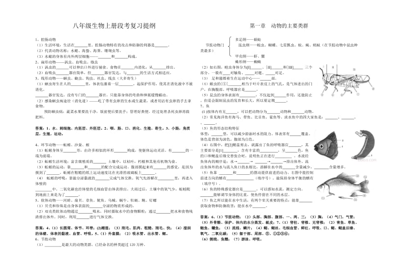 八年级上册段考复习提纲.doc_第1页