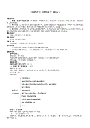 《同樣的權(quán)利同樣的愛(ài)護(hù)》教學(xué)設(shè)計(jì).doc