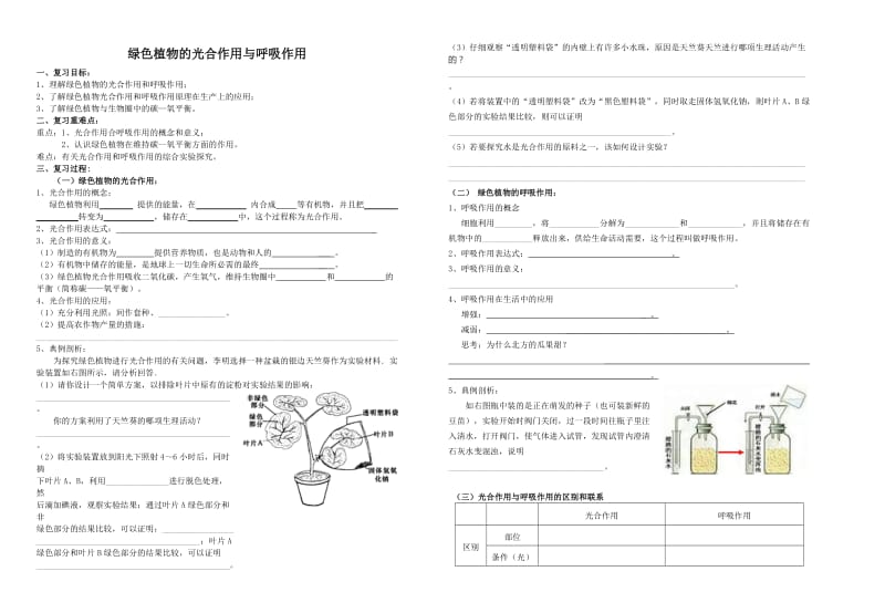 光合作用和呼吸作用教学案.doc_第1页