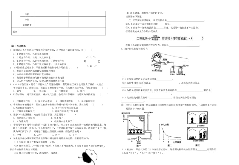 光合作用和呼吸作用教学案.doc_第2页