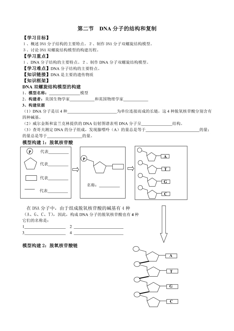 DNA分子结构导学案.doc_第1页