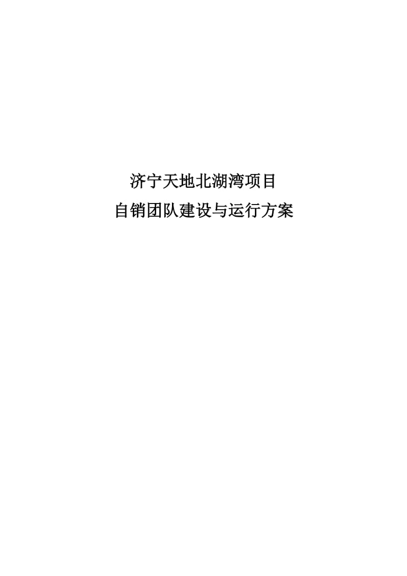 北湖湾项目团队建设与运行方案(金宇).doc_第1页