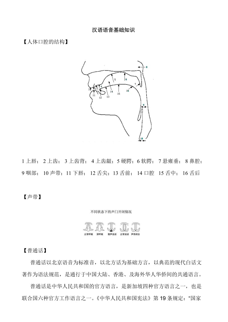 汉语拼音基础知识(教案).doc_第1页