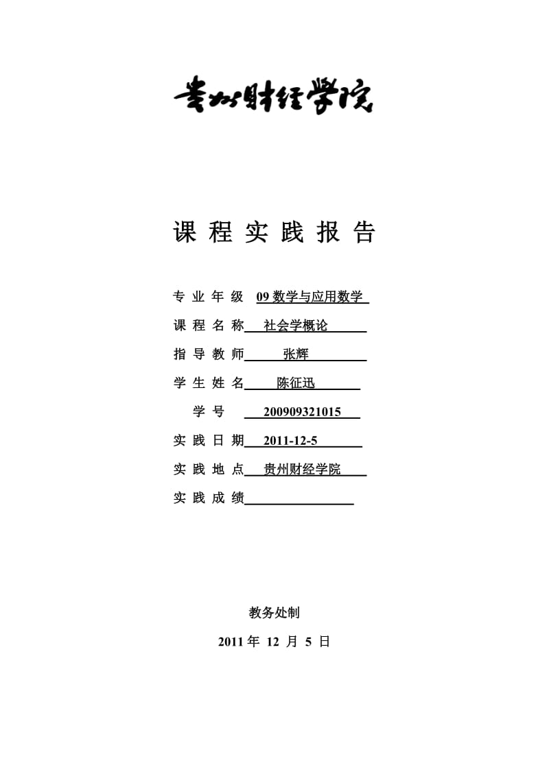 2010《社会学概论》课程实践报告参考模版.doc_第1页