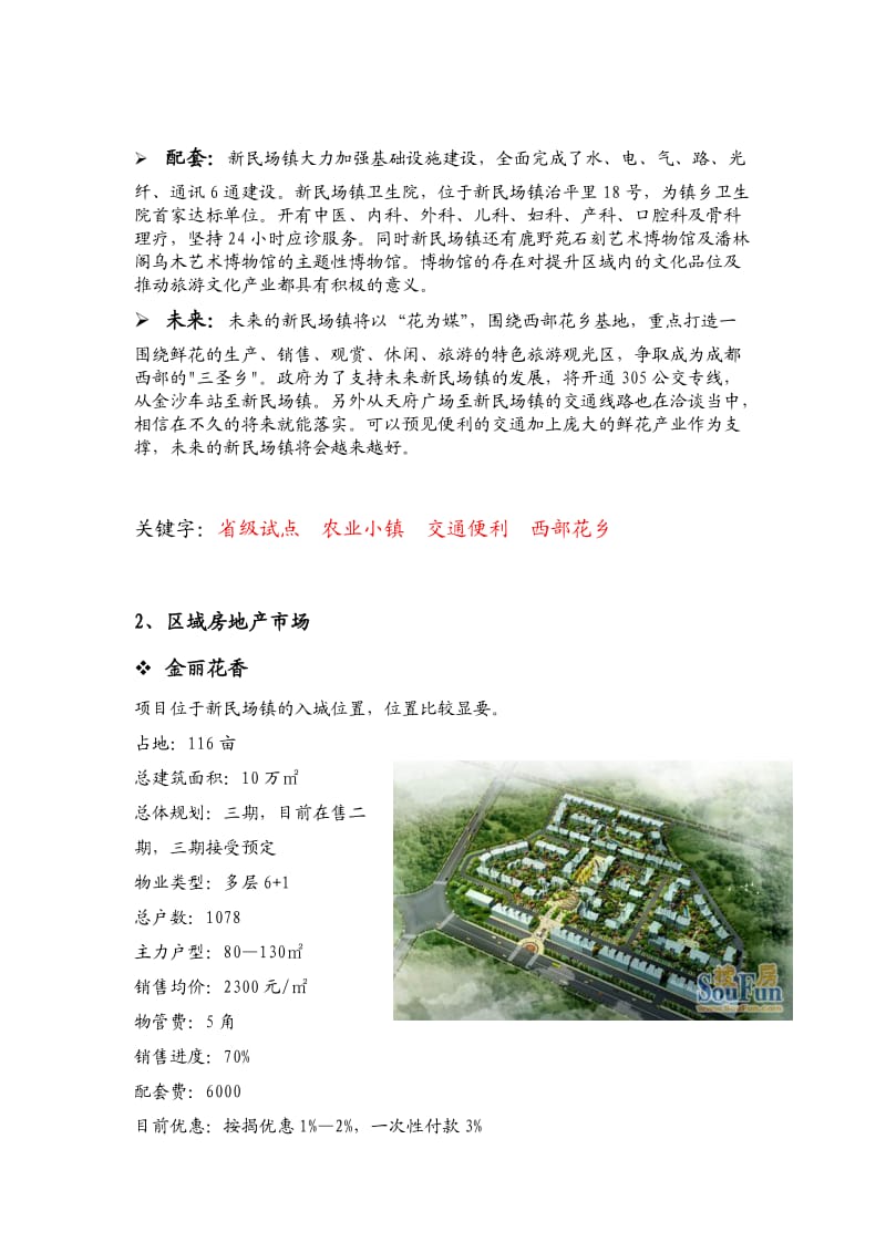 新民场镇房地产市场.doc_第2页