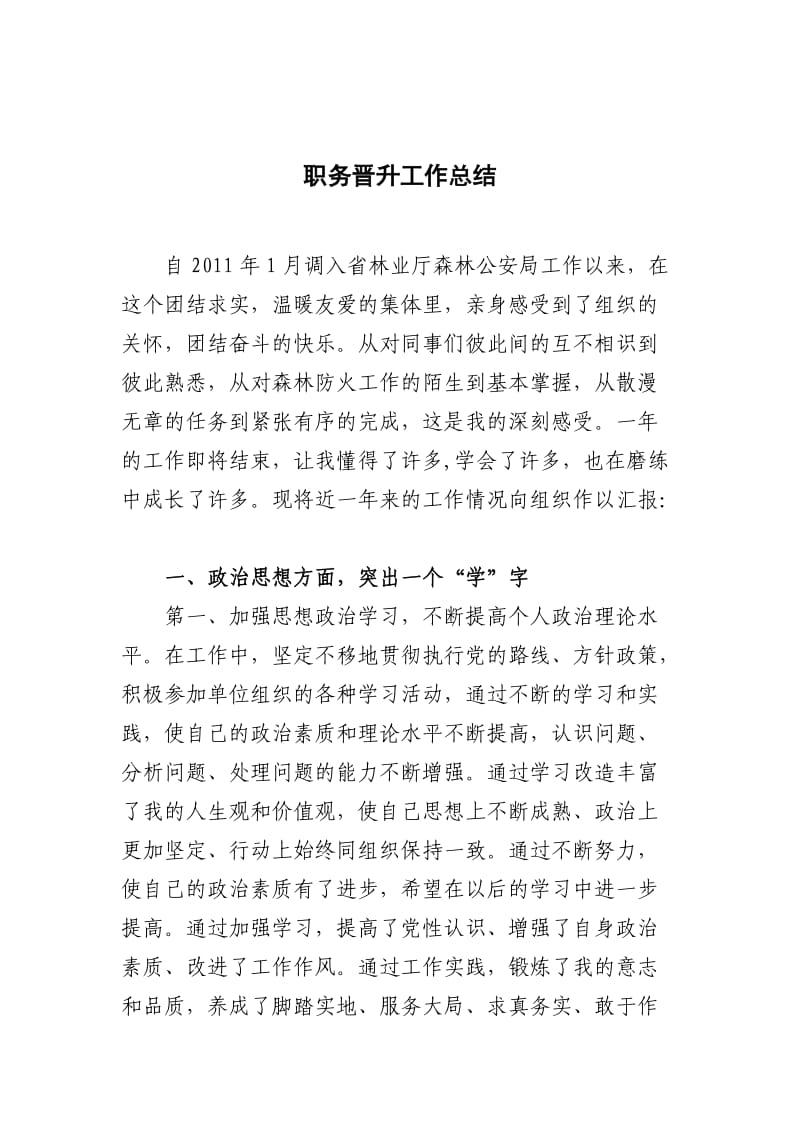 个人职务晋升工作总结.doc_第1页