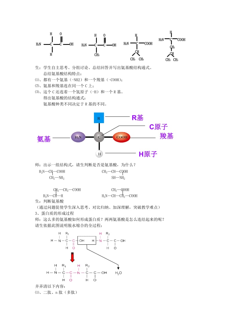 蛋白质结构与功能教学设计.doc_第3页