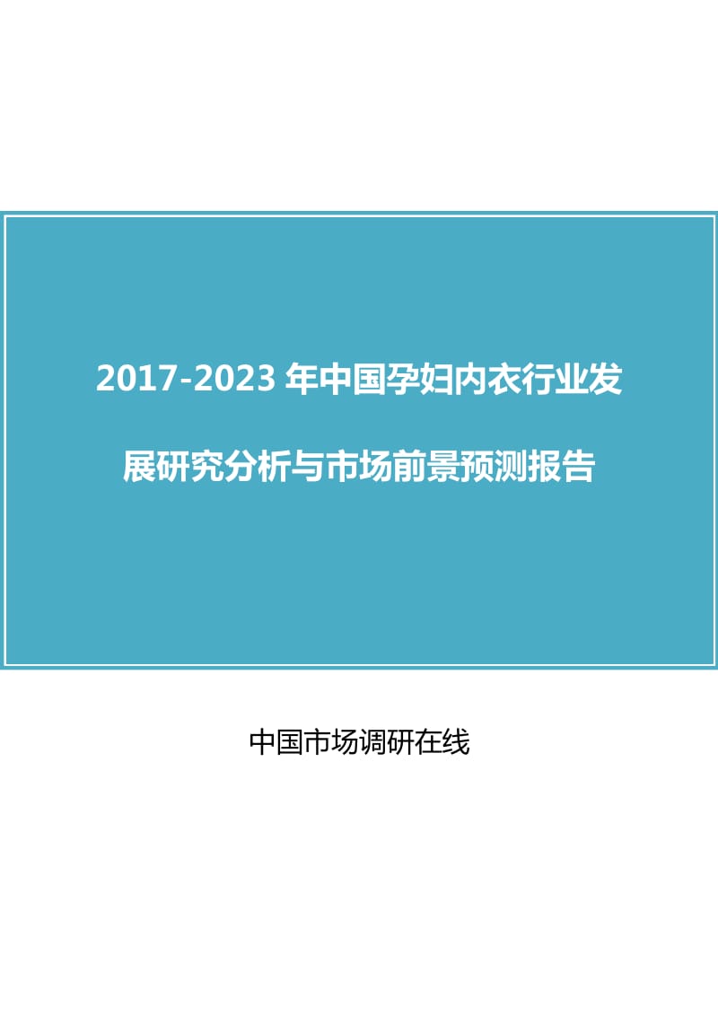 中国孕妇内衣行业研究分析报告.docx_第1页