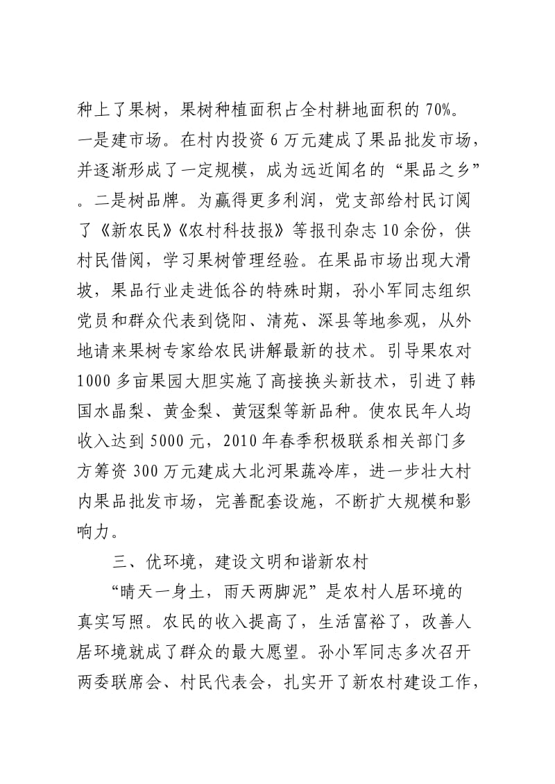 村党支部书记孙小军先进事迹材料.doc_第3页