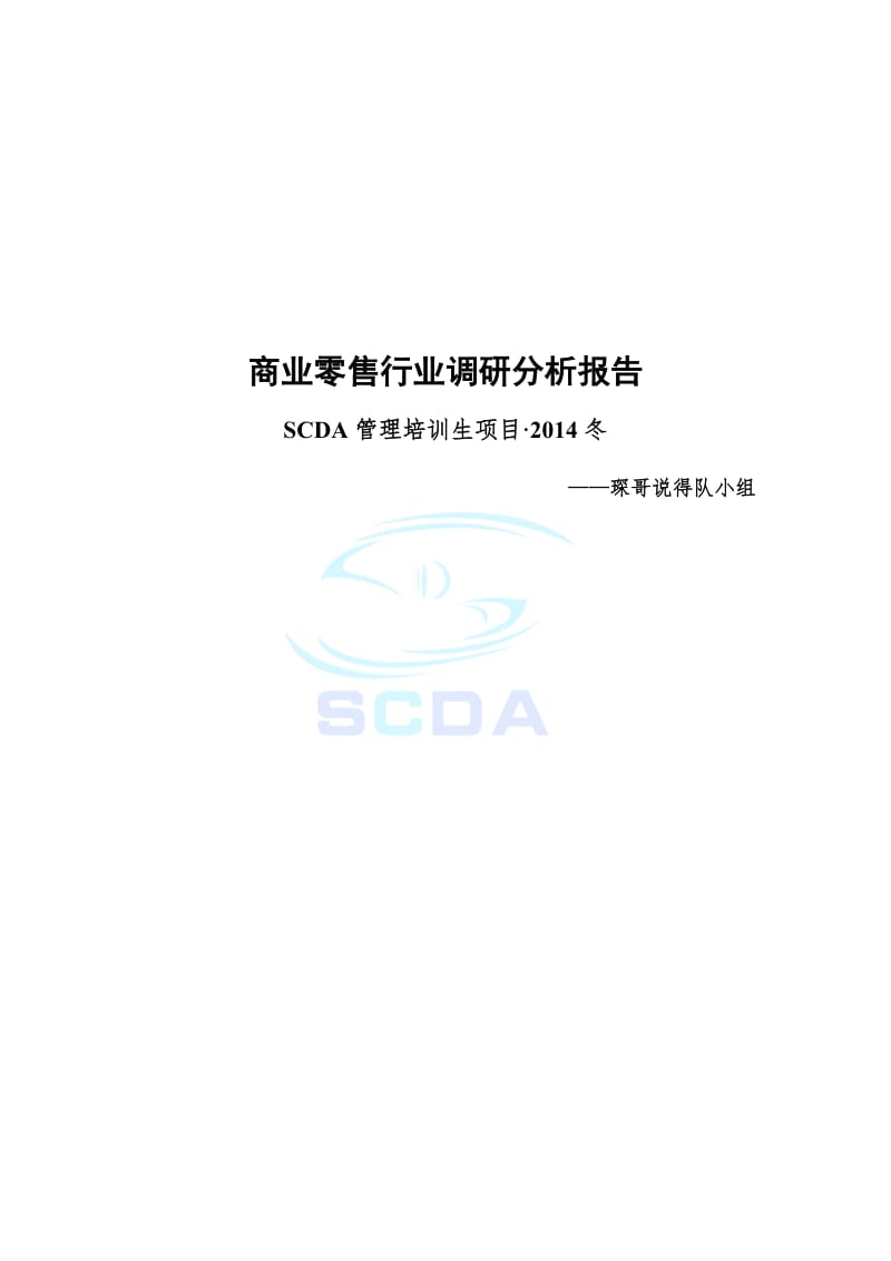 商业零售行业调研分析报告-琛哥说得队小组.docx_第1页