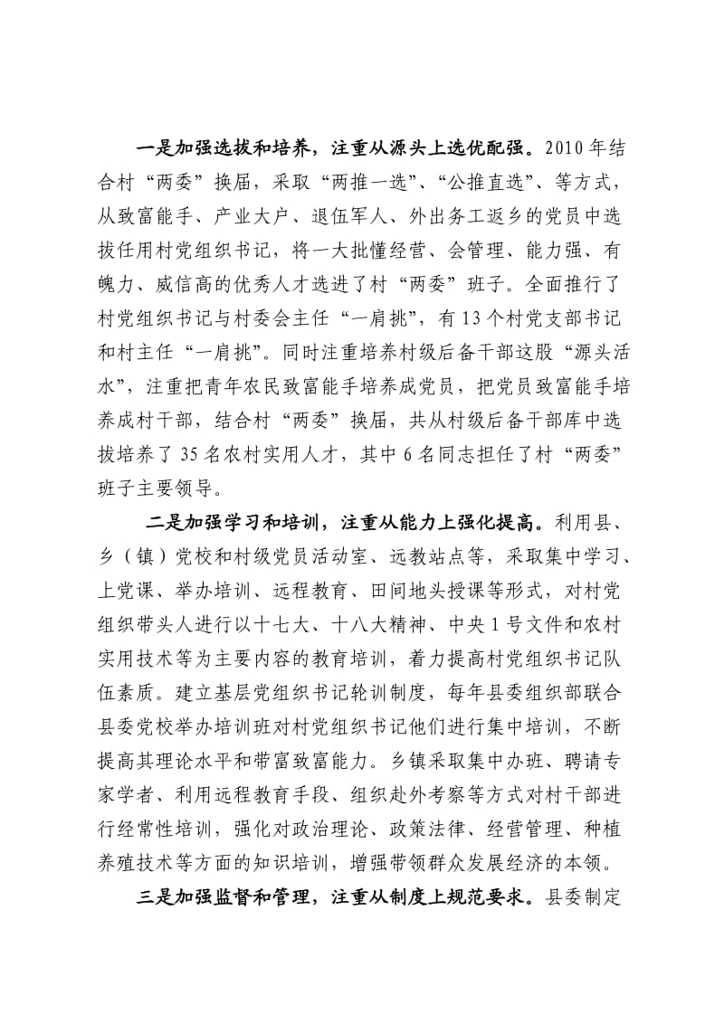 基层党组织带头人队伍建设的实践与思考.doc_第2页