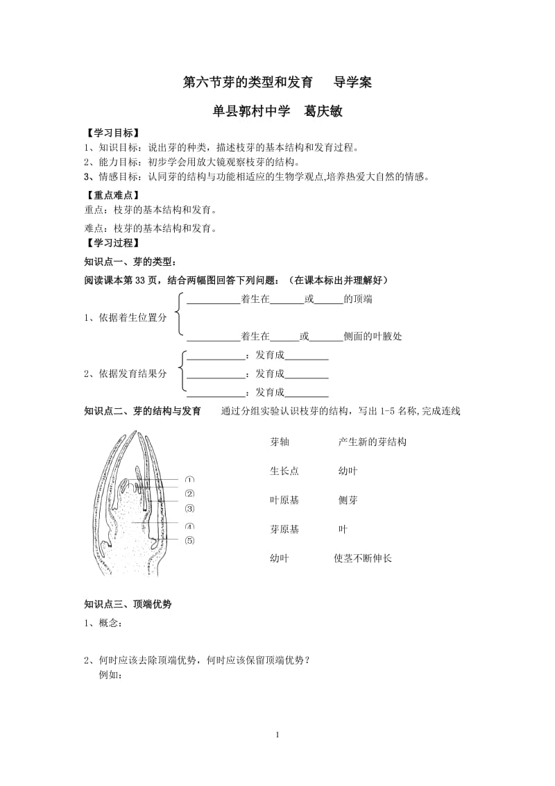 芽的类型和发育导学案.doc_第1页