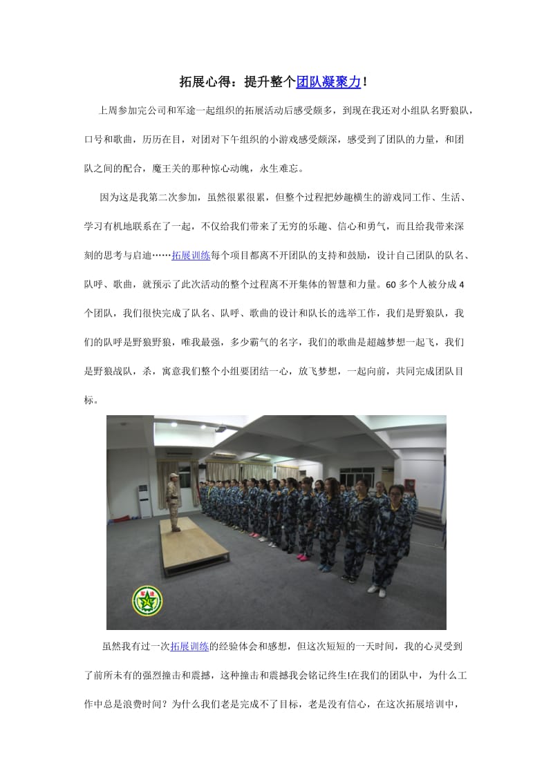 拓展心得：提升整个团队凝聚力.docx_第1页