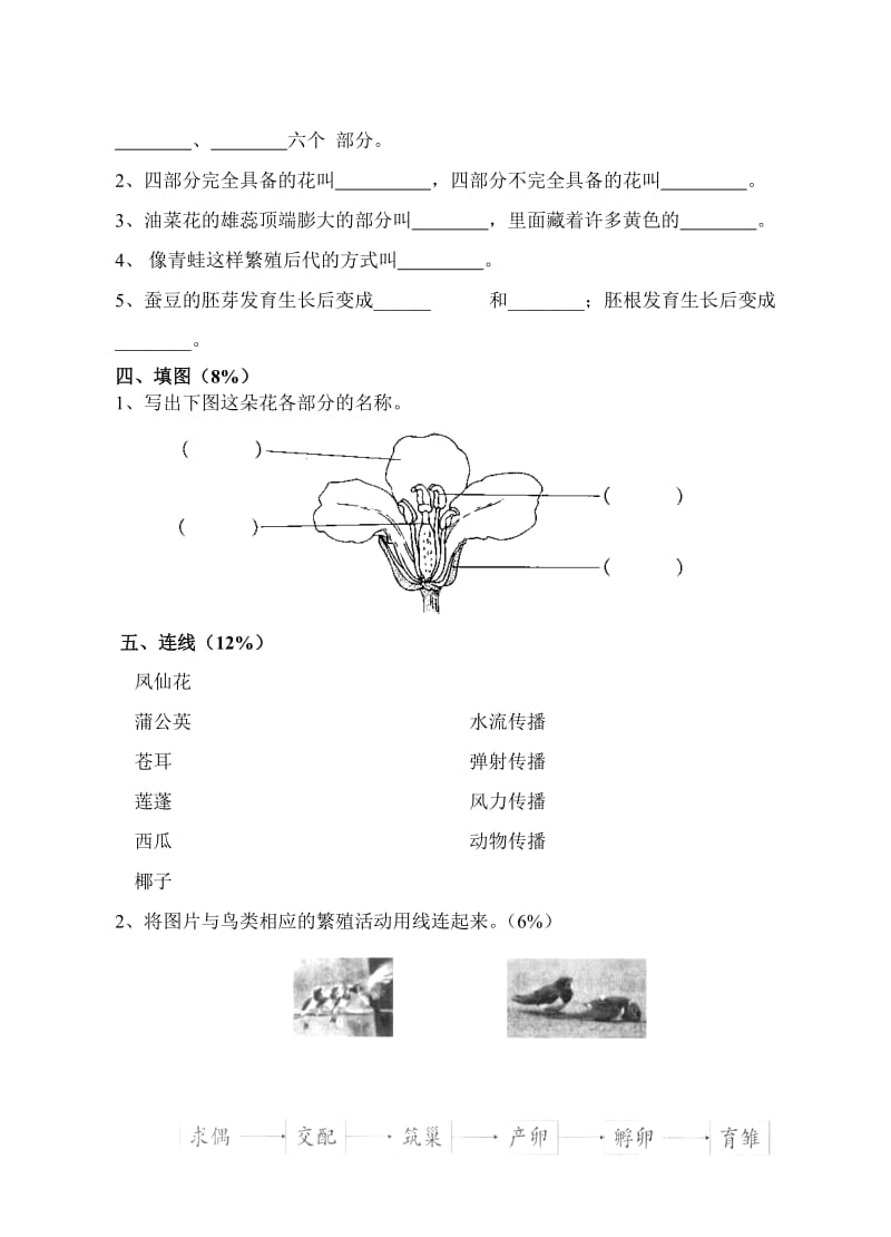 小学科学四年级下第二单元练习卷.doc_第3页