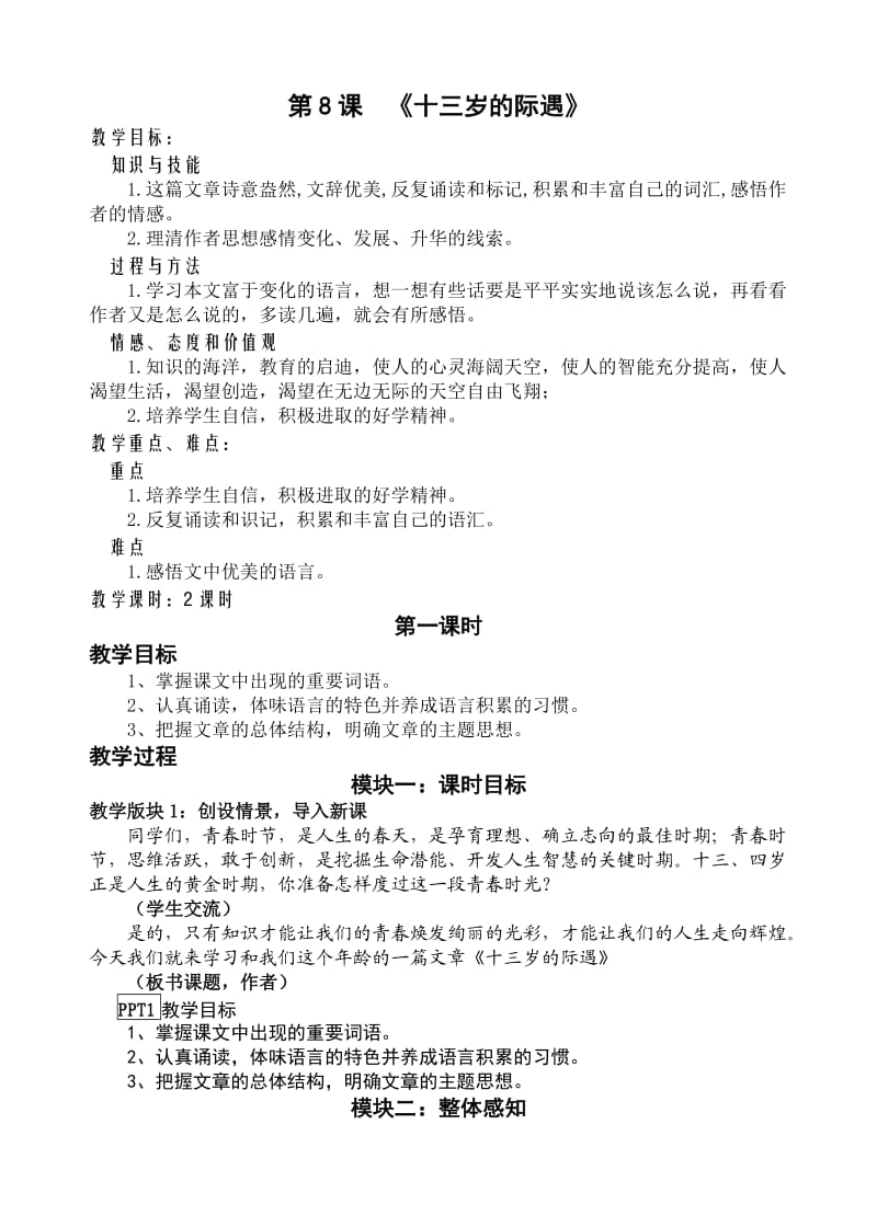 《十三岁的际遇》教学方案.doc_第1页