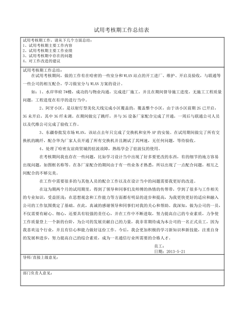 试用考核期工作总结表.doc_第1页