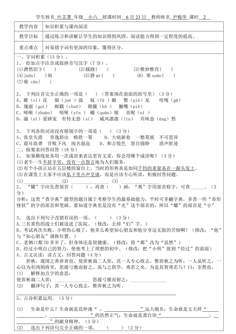 卓越师范教育教案模板叶芷菁.doc_第1页