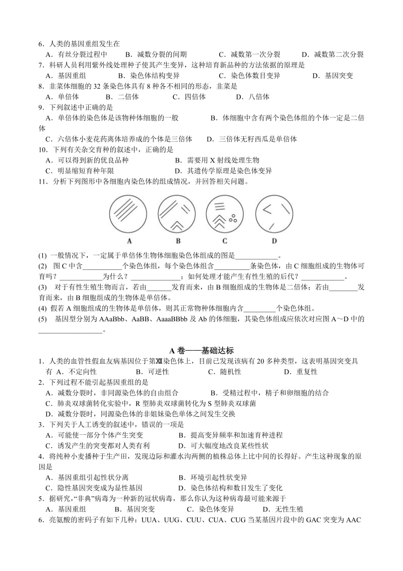 学测复习学案十三：生物的变异.doc_第2页