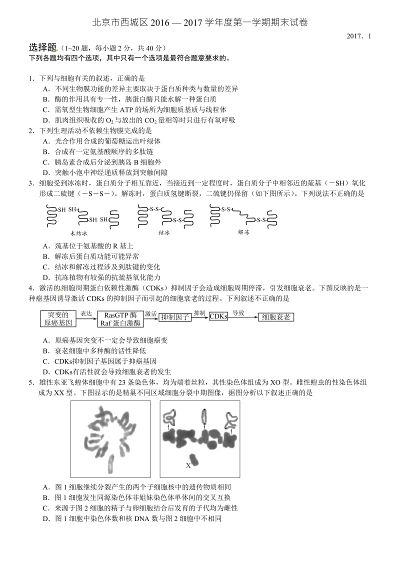 北京市西城区2017届高三上学期期末考试生物试题.doc_第1页