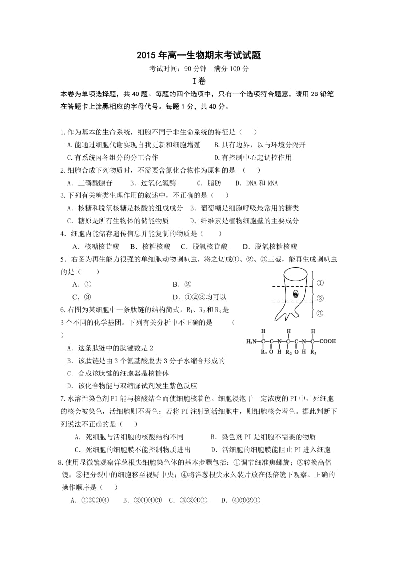 2015年高一生物必修一期末考试(一).doc_第1页