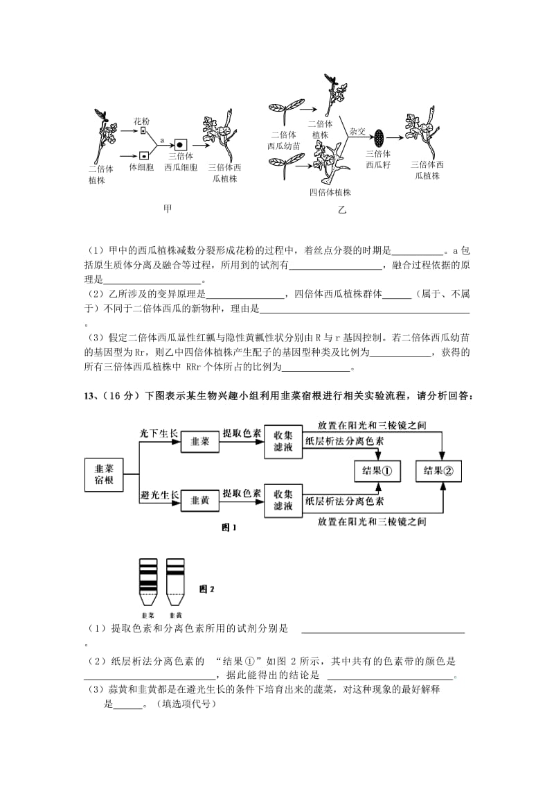 2014高考生物二轮复习小综合训练.doc_第3页