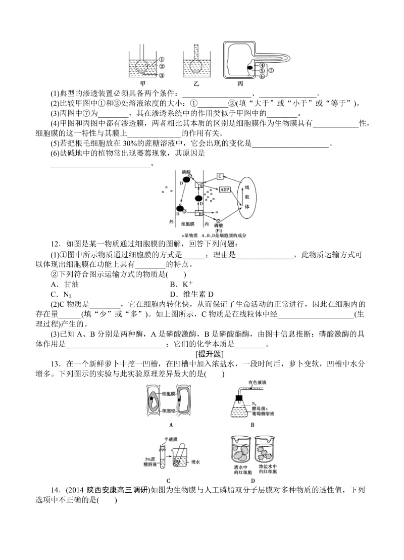 2015届《优化方案》高考生物(苏教版)一轮课后达标检测07物质的跨膜运输.doc_第3页