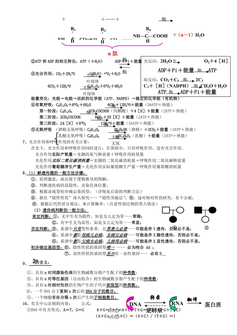 2012高考冲刺61生物规律性关系及公式归纳.doc_第2页