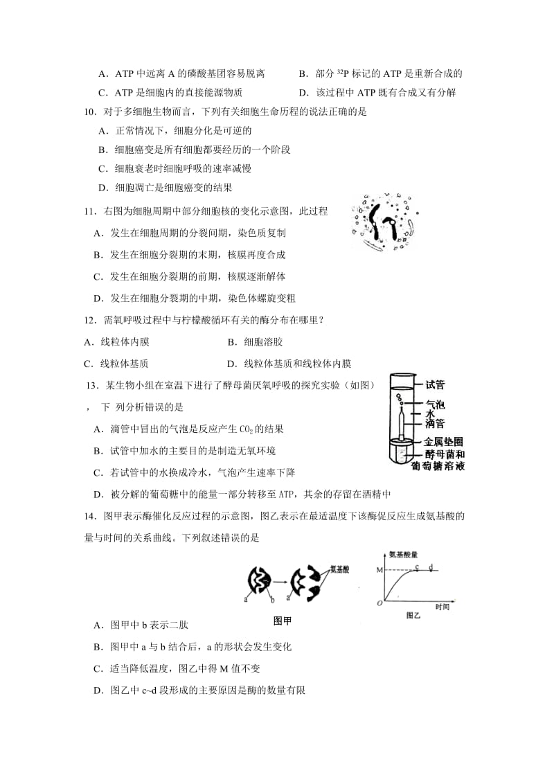 巨人中学2012第二次月考高二生物试卷.doc_第2页