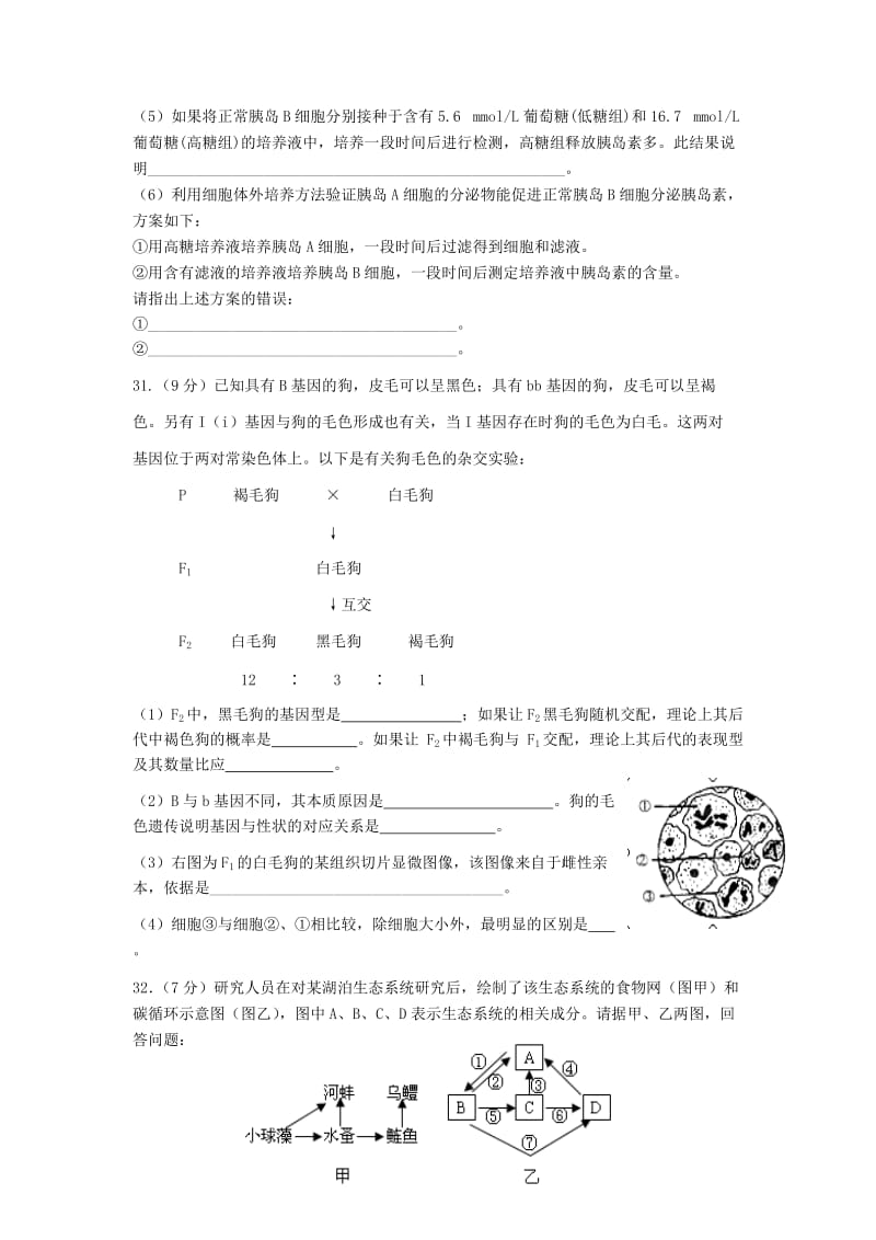 甘肃省金川公司第一、第二中学高三生物第一次模拟考试试题新人教版.doc_第3页