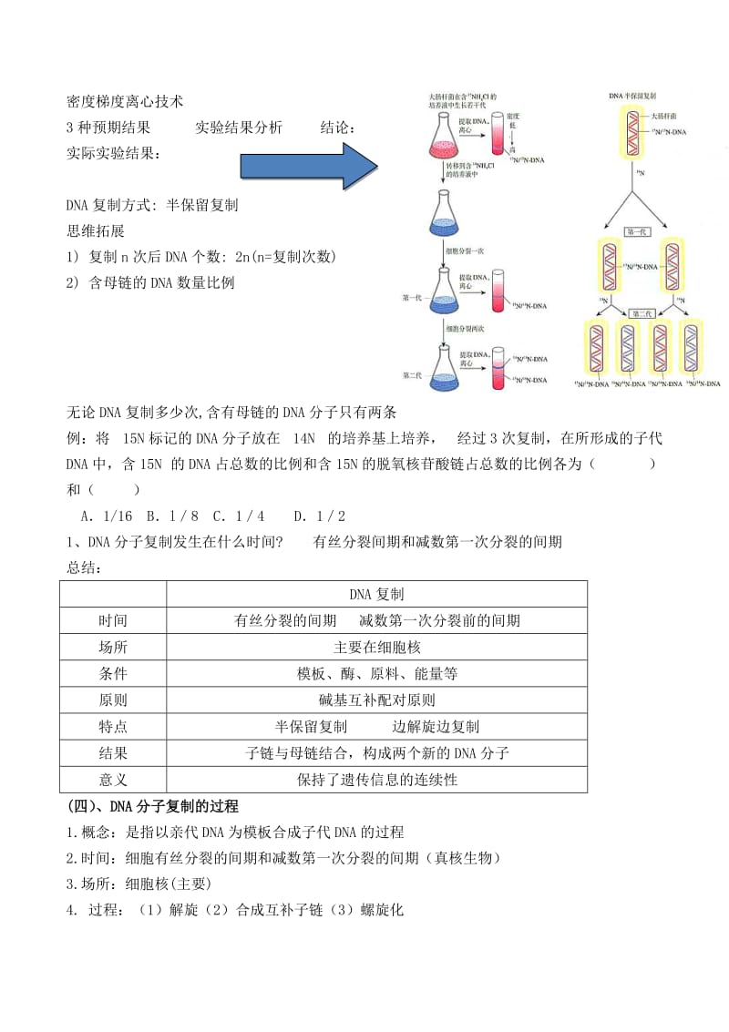 DNA的复制1课时教案-生物高一必修二人教版.docx_第3页