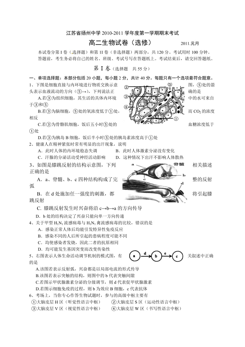 江苏省扬州中学10-11学年高二上学期期末考试(生物).doc_第1页