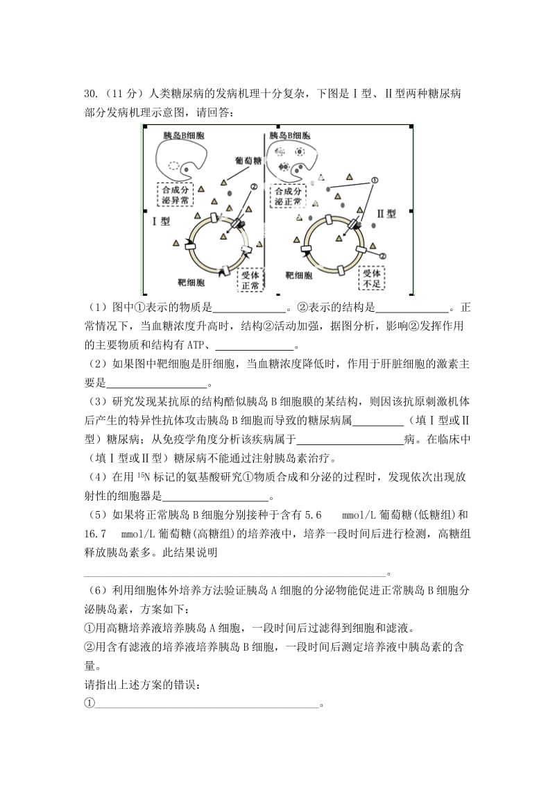 甘肃省河西五市部分普通高中2013届高三第二次联合考试生物试题含答案.doc_第3页