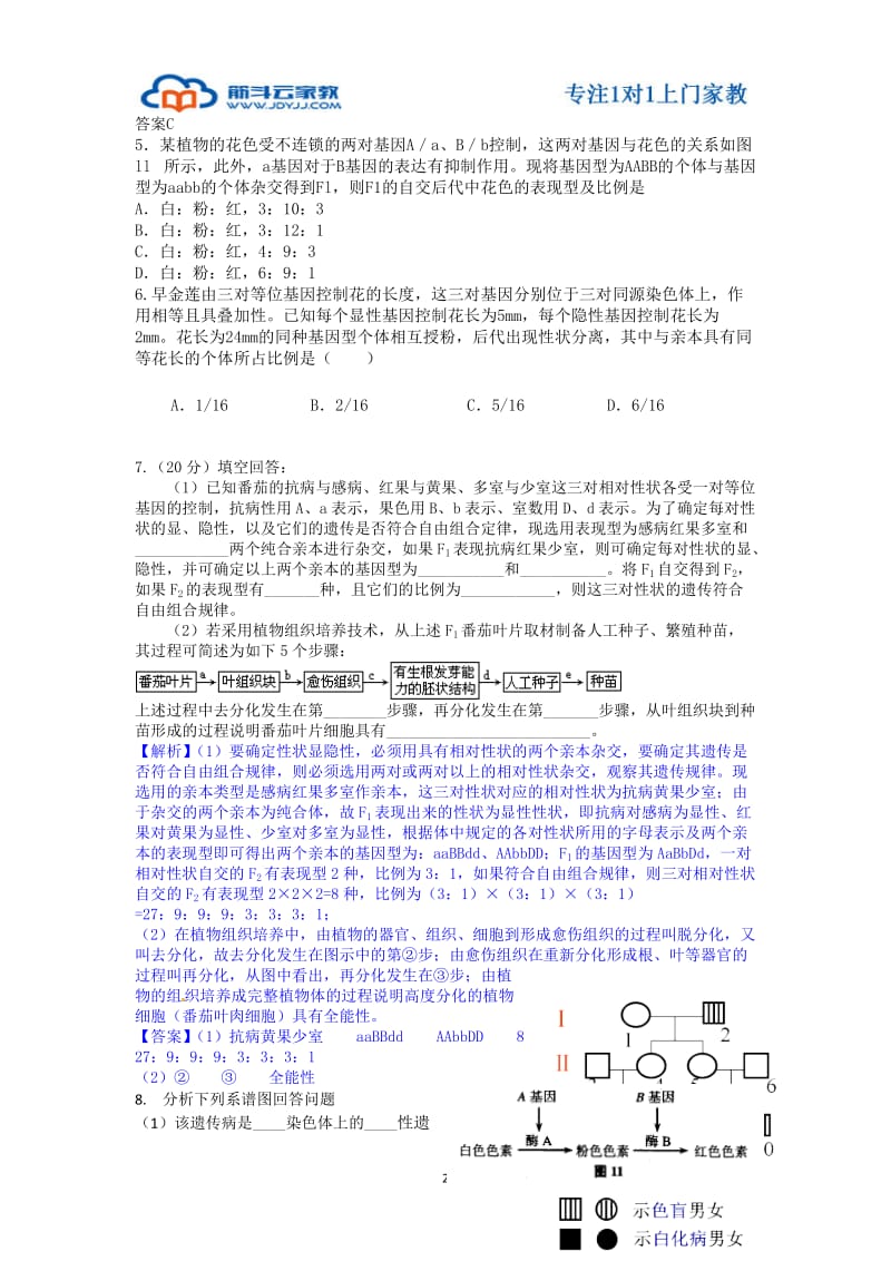 上海高中生物遗传规律同步练习.doc_第2页