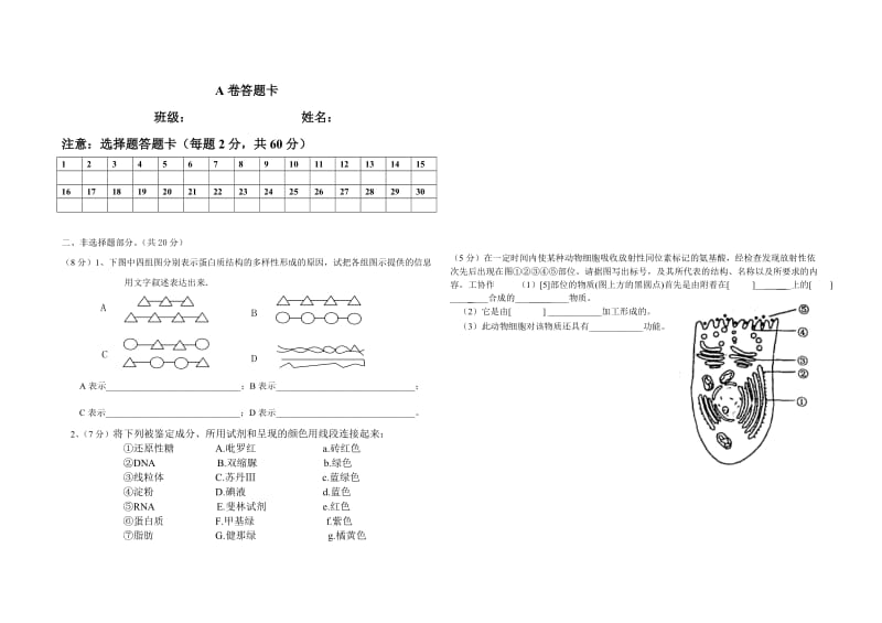 生物竞赛高一组试题.doc_第3页