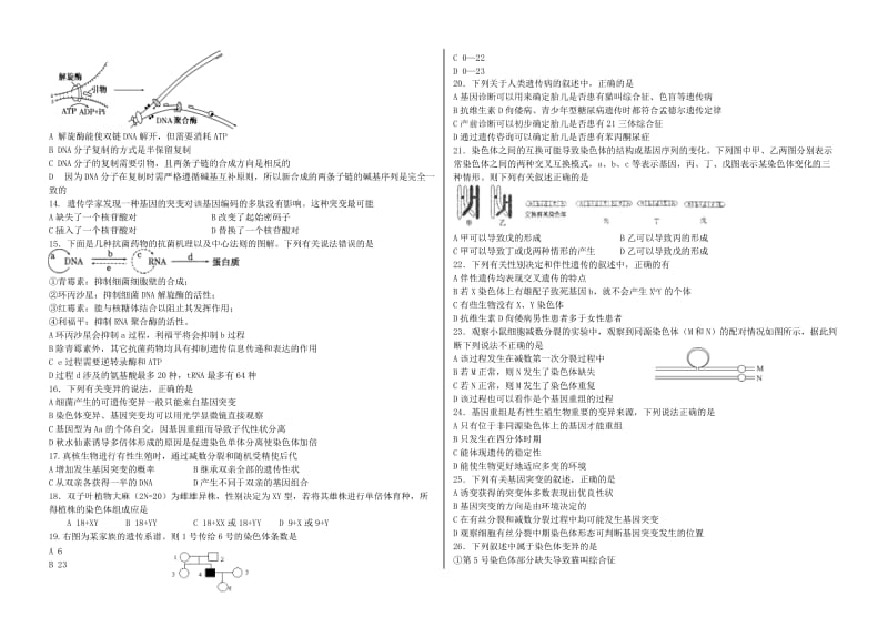 松原市宁江区实验中学高一下期末生物试卷.doc_第2页