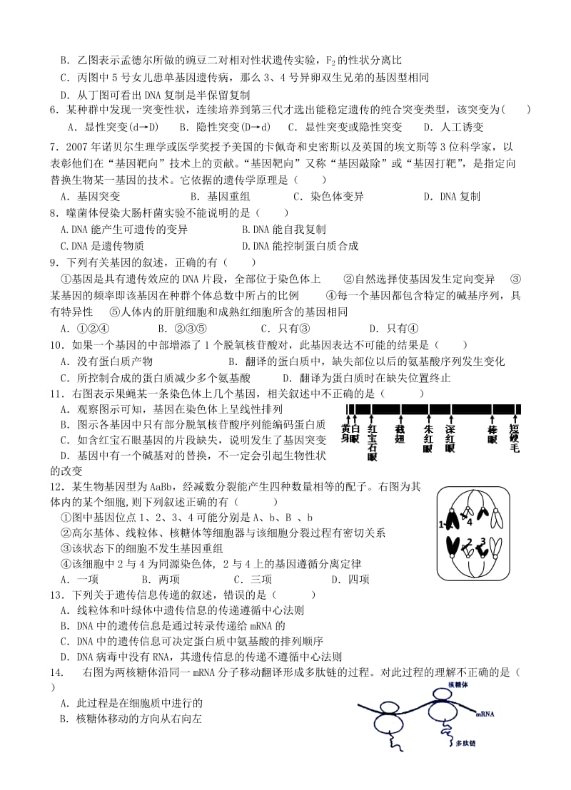 惠安一中高二生物复习测试卷.doc_第2页