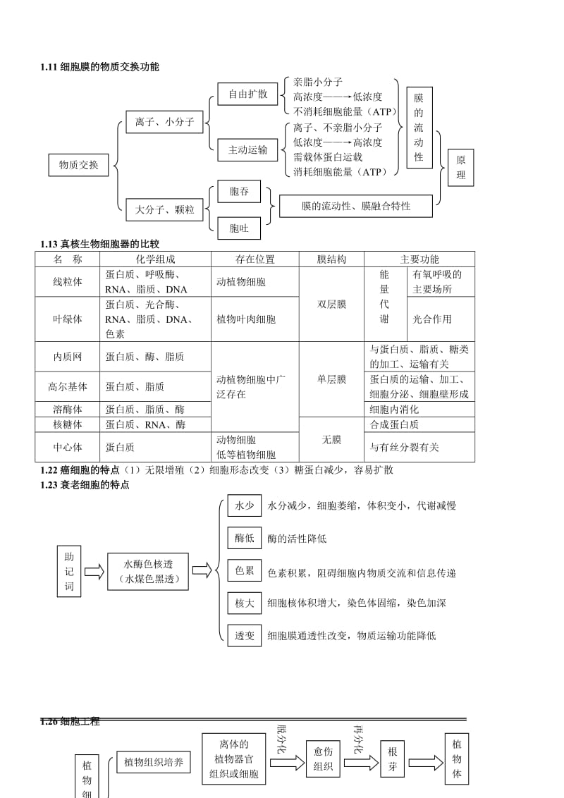 高考生物知识点总结(简洁版).doc_第3页