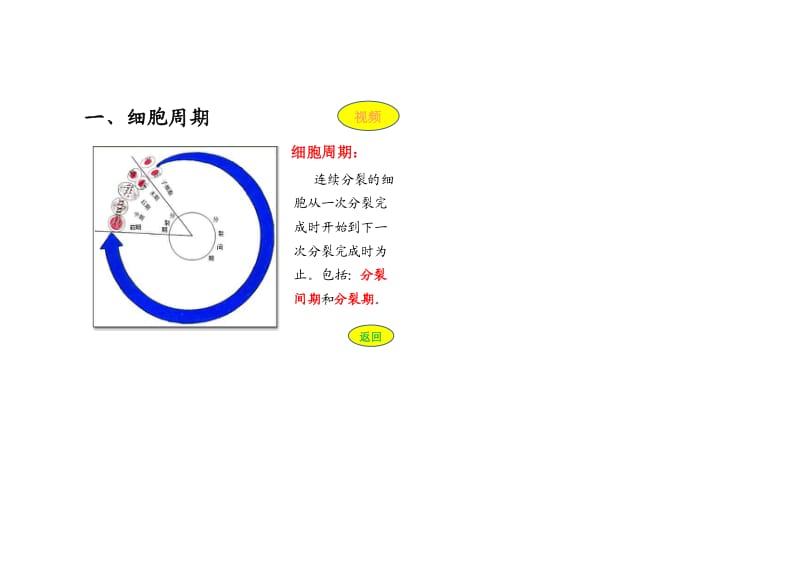 高中生物人教版必修一细胞增殖.doc_第3页