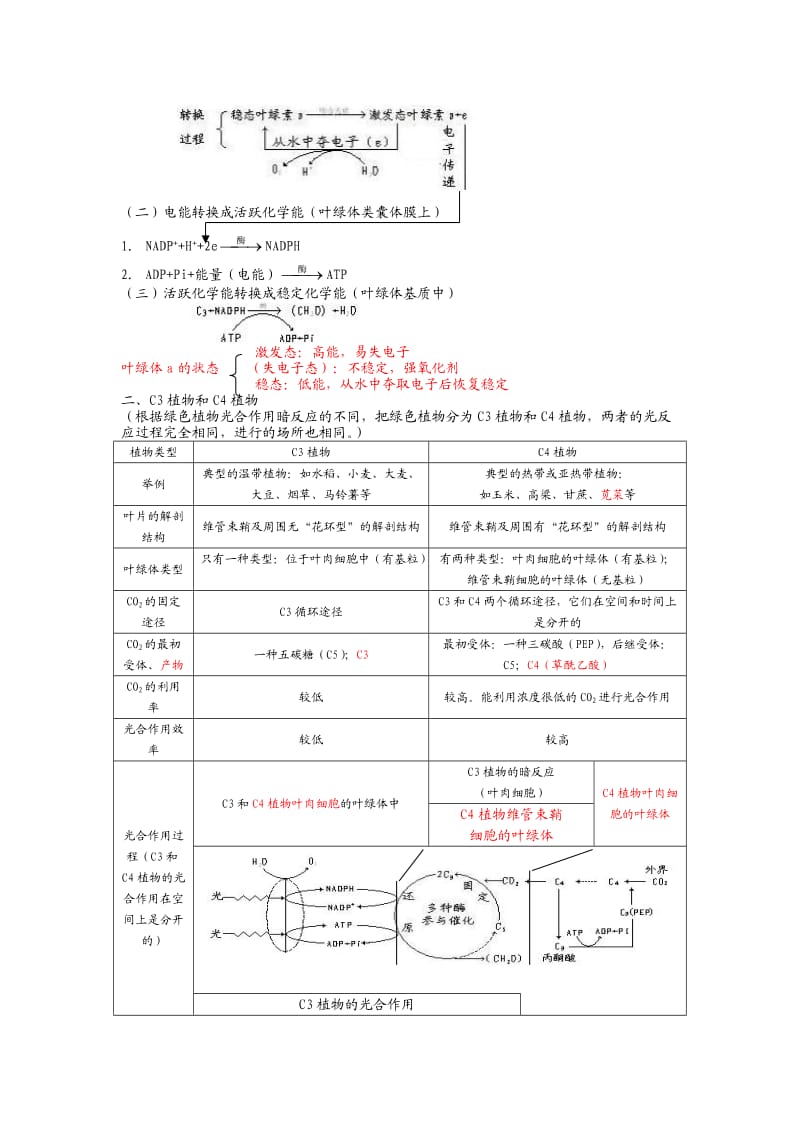 高中生物选修全一册光合作用.doc_第2页